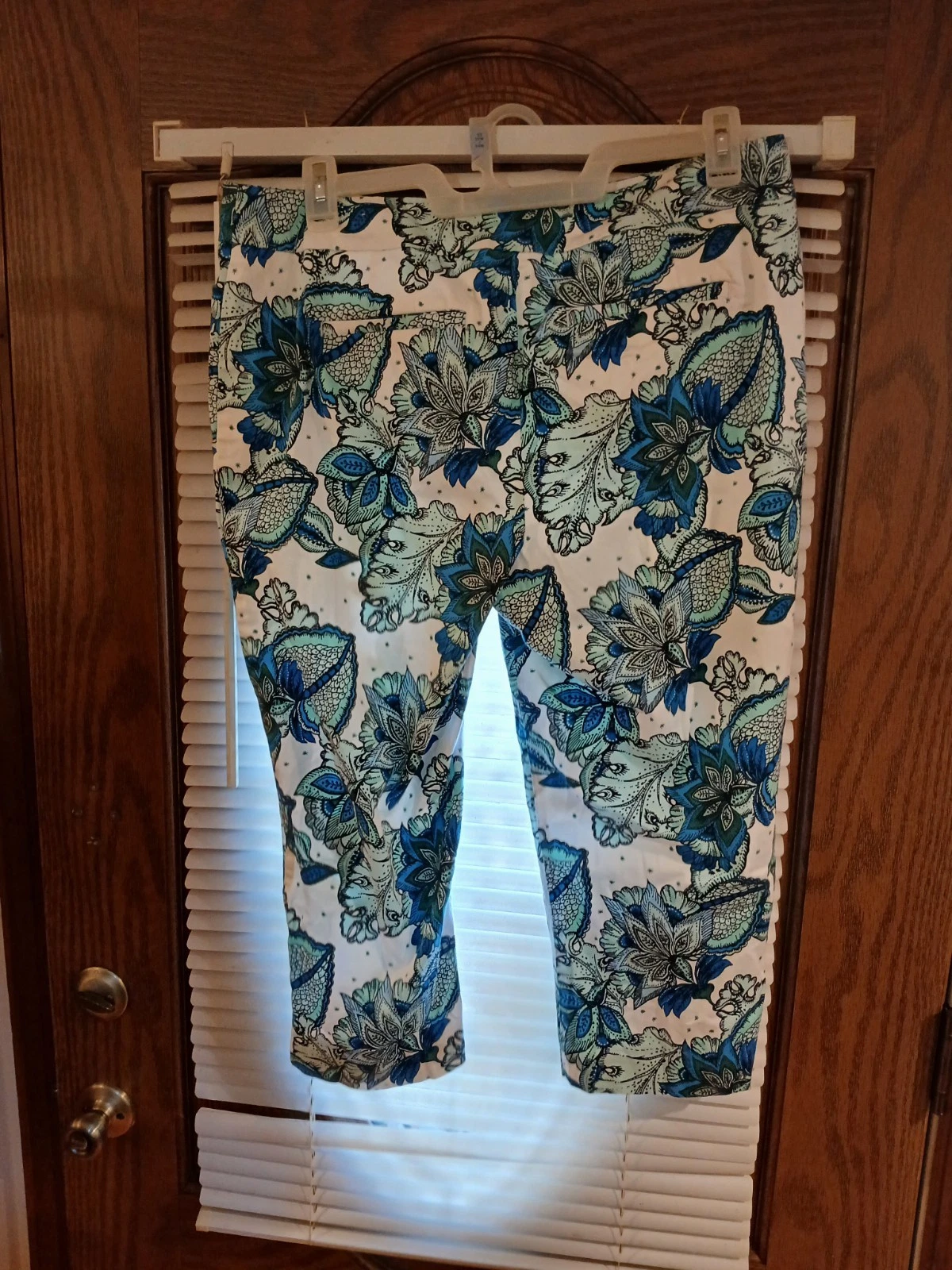 Ann Taylor Curveyblue And White Floral Women's Capri Size 14