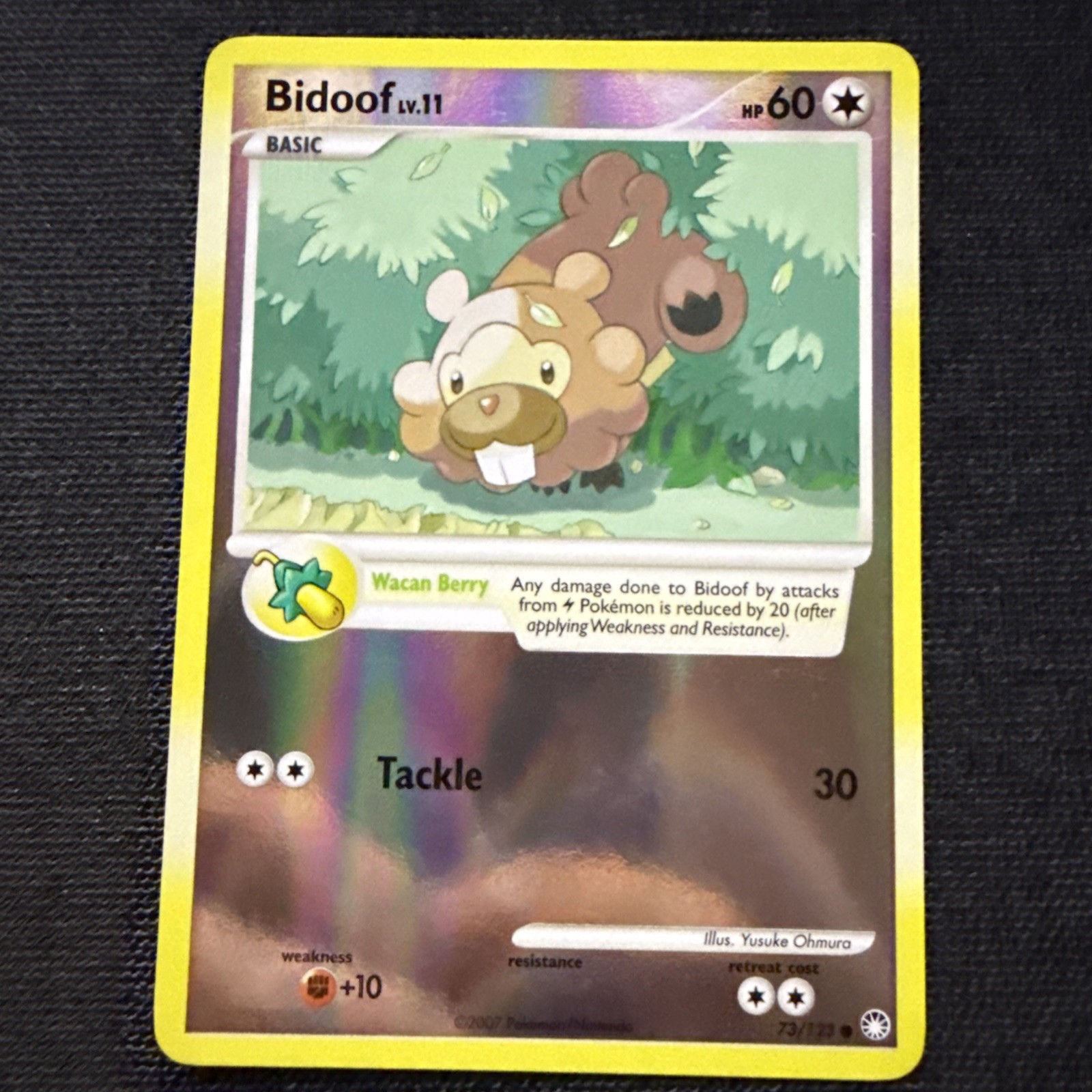 Bidoof 73/123 Mysterious Treasures Reverse Holo LP