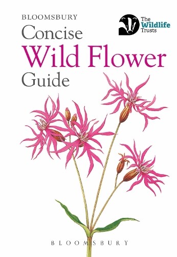 Concise Wild Flower Guide (Tascabile) Concise Guides