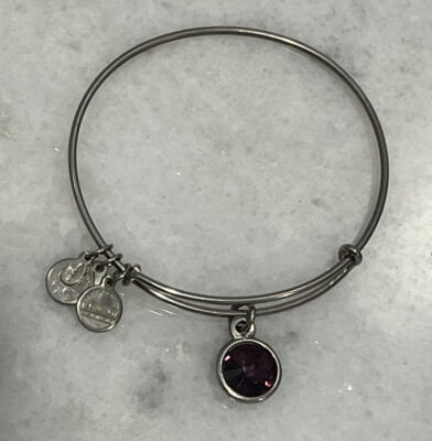 Alex and Ani Silver Tone Amethyst February Birthstone Adjustable