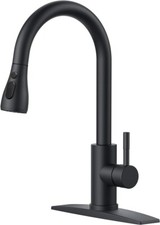 FORIOUS Kitchen Faucets with Pull Down Sprayer - Black FF0023CB