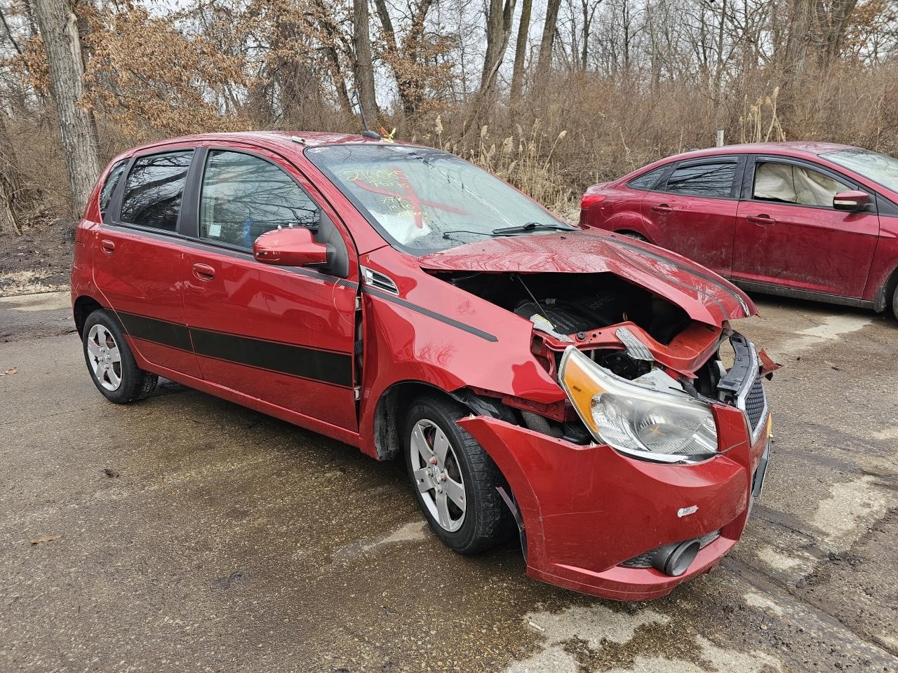 Picture 3