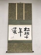 Japanese Hanging Scroll Kitanoji Taiji Pine Longevity Zen Calligraphy-KJ448