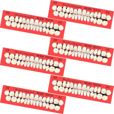 6 Sets Acrylic Resin Fake Teeth Artificial Teeth Denture Replacement Tooth Prop