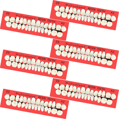 6 Sets Acrylic Resin Fake Teeth Artificial Teeth Denture Replacement Tooth Prop