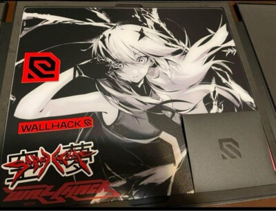 工芸品 WALLHACK SP-004 Frenzy Sora s-l400.jpg