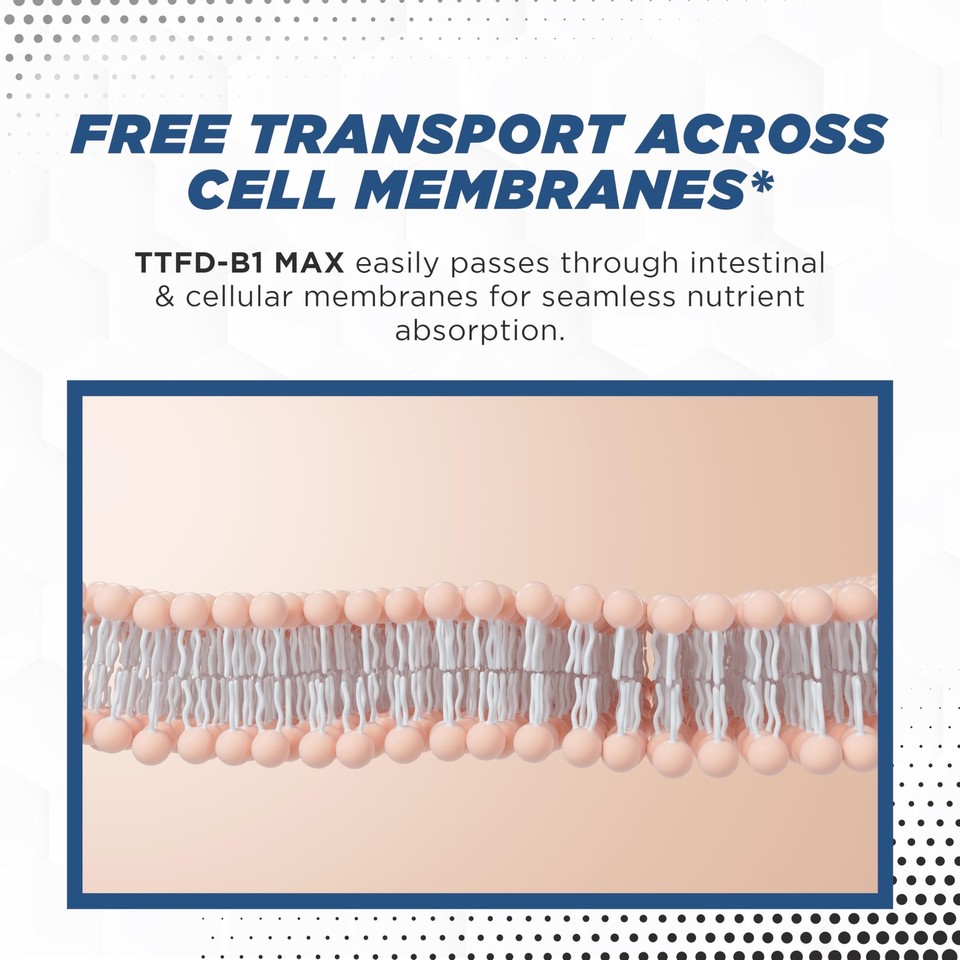 TTFD B1 Max Thiamine B1 TTFD 100mg (Thiamine Tetrahydrofurfuryl