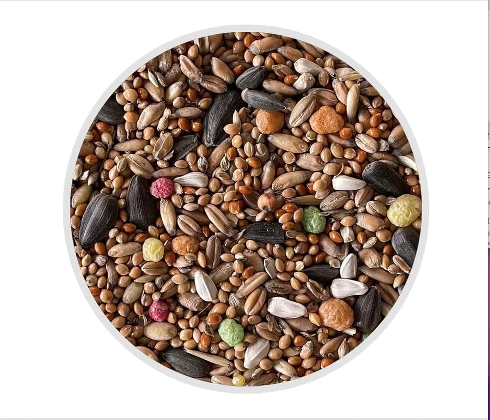 25 kg Nymphensittichfutter Großsittichfutter Ziervögel Vogelfutter - Bild 3 von 4