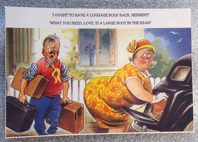 Andrew Wright 1993 Saucy Adult Humor Postcard ''What you need love, is a large...