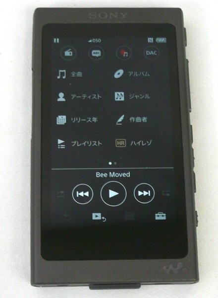 SONY ウォークマン NW-A45 ujrnXbdFrsUJy8d6CSEskW.jpg