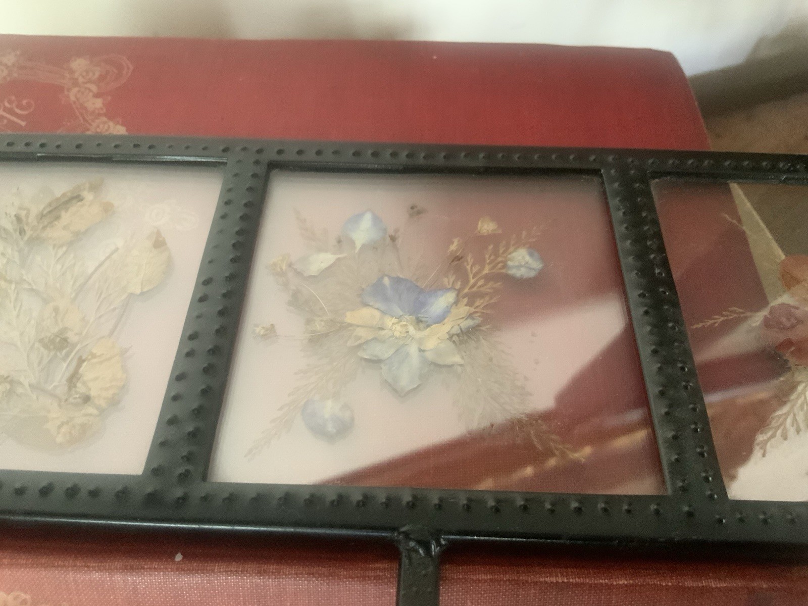 Picture 3 of 7