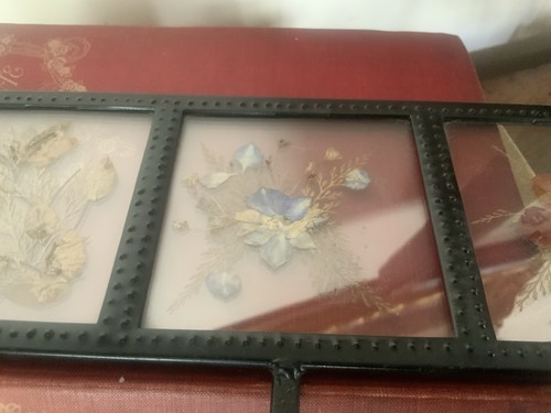 Pressed Flowers In Glass With Wrought Iron Hooks - Picture 3 of 7