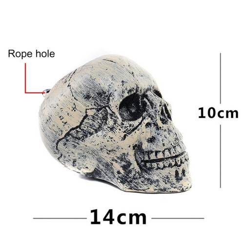 6Pcs Halloween Skeleton Skull Bones Life Size Skull Head Haunted Horror Props - Picture 7 of 10