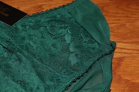 BNWT Dita Von Teese Cora Full Brief MSRP $50!!