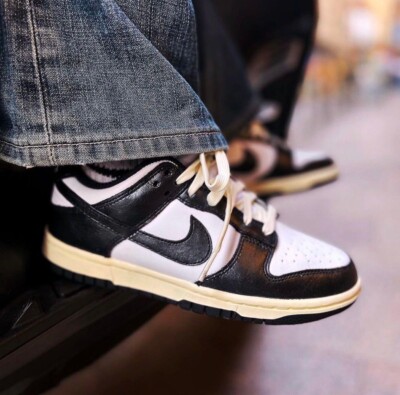nike dunk old