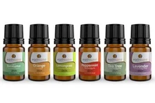 6 Pack Gift Set - 5 ml (1/6 oz)