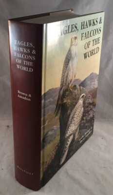 EAGLES, HAWKS AND FALCONS OF THE WORLD BY LESLIE BROWN & DEAN