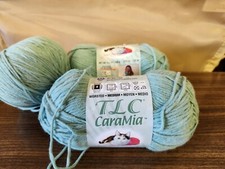 TLC CaraMia Worsted Aqua Two  NWT