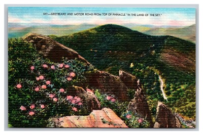 #ad Marion NC North Carolina Pinnacle Land of Sky Graybeard amp; Motor Road Postcard $4.99