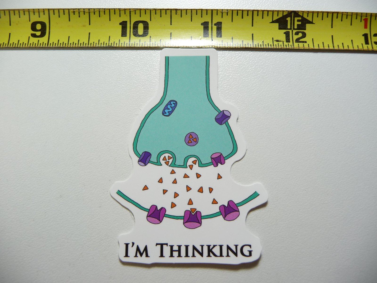 Thinking Synapse Funny Decal Sticker for School College Teachers and Education Fans