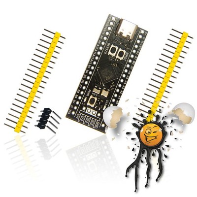 Black Pill STM32F411CEU6 USB-C 100MHz. Development- Board Cortex -M4 512KB RAM