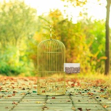 2 PCS Bird Supplies for Feeding Birds Food Tank Accessories Pet Box Feeder Wild