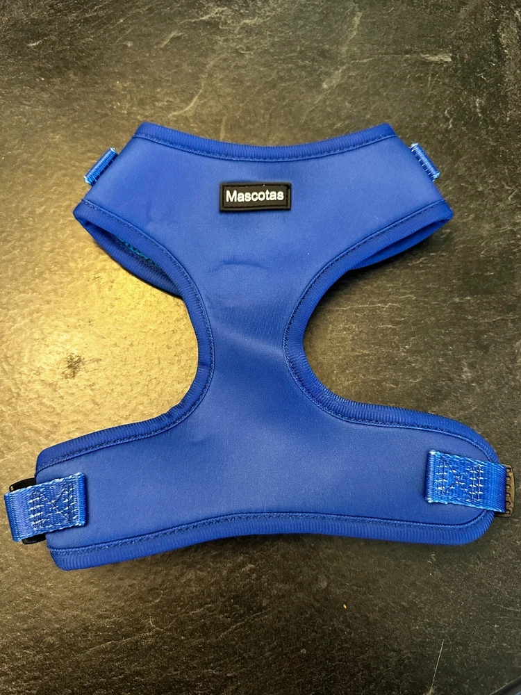 dog harness, leash ,poop bag holder, seatbelt attachment, bow blue king