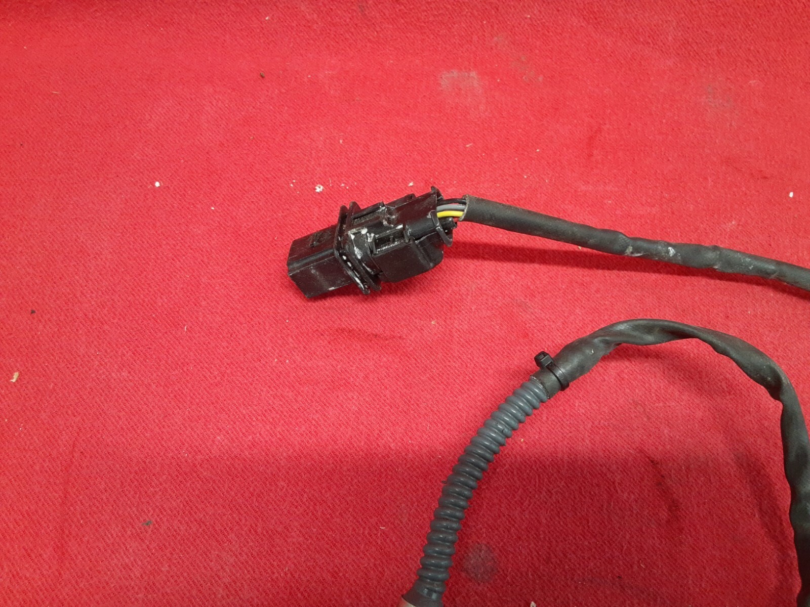 Picture 4