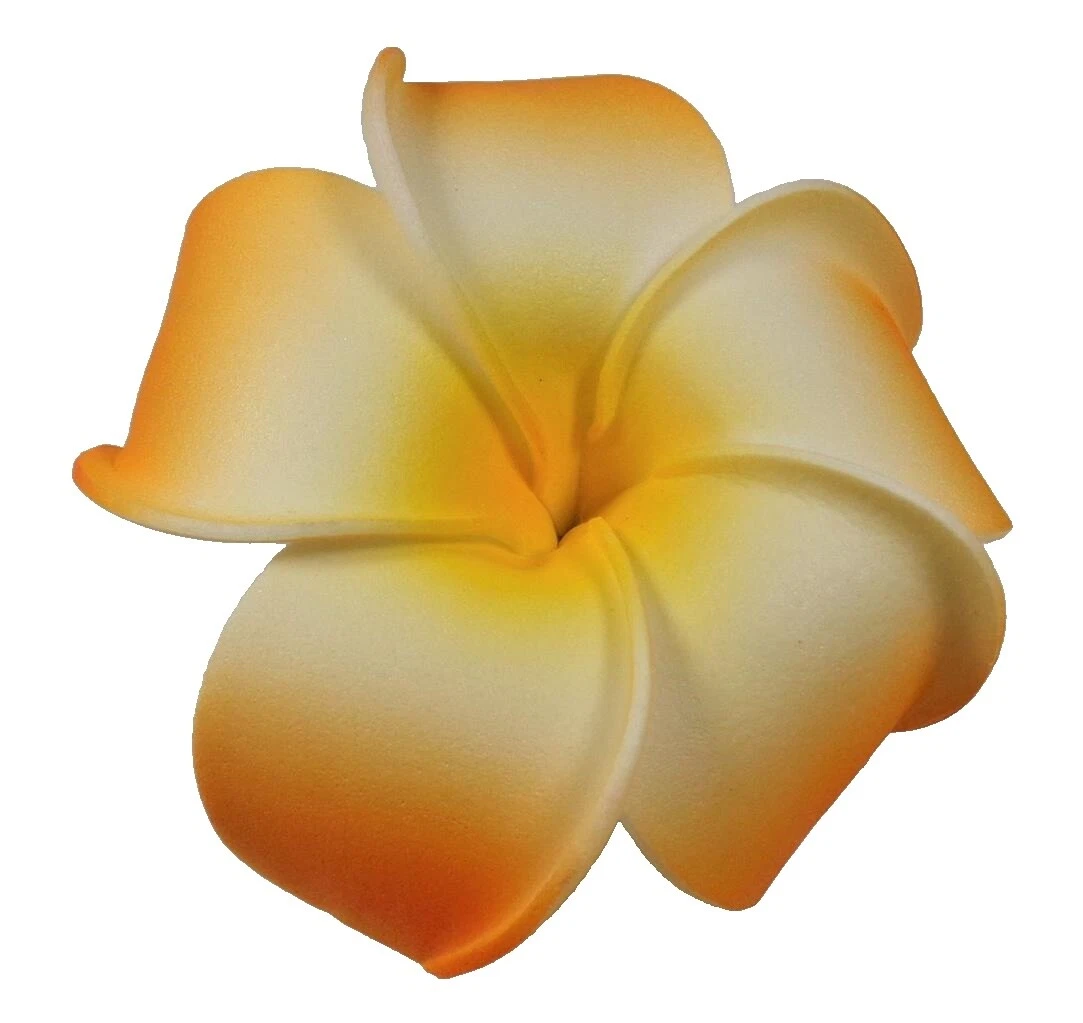 Hawaiian Flowers Hair Hair Clips for Women