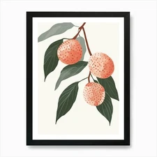 Lychee Close Up Illustration 3 Art  Framed Wall Art Poster Canvas Print Picture