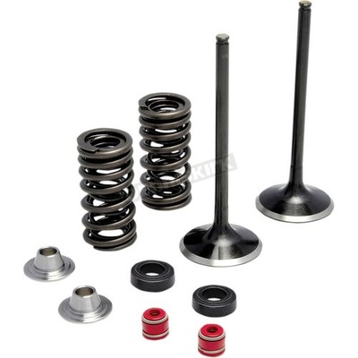 Kibblewhite Black Diamond SS Intake Only Valve & Spring Kit - 30-32440