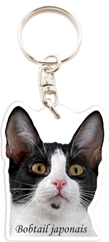 Bobtail Japonais Porte Cles Personnalise Photo Prenom Texte Idee Cadeau Chat R1 Ebay