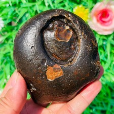 420g Natural Egyptian Rock Desert Pictogram Rough Gobi Stone Crystal mineral