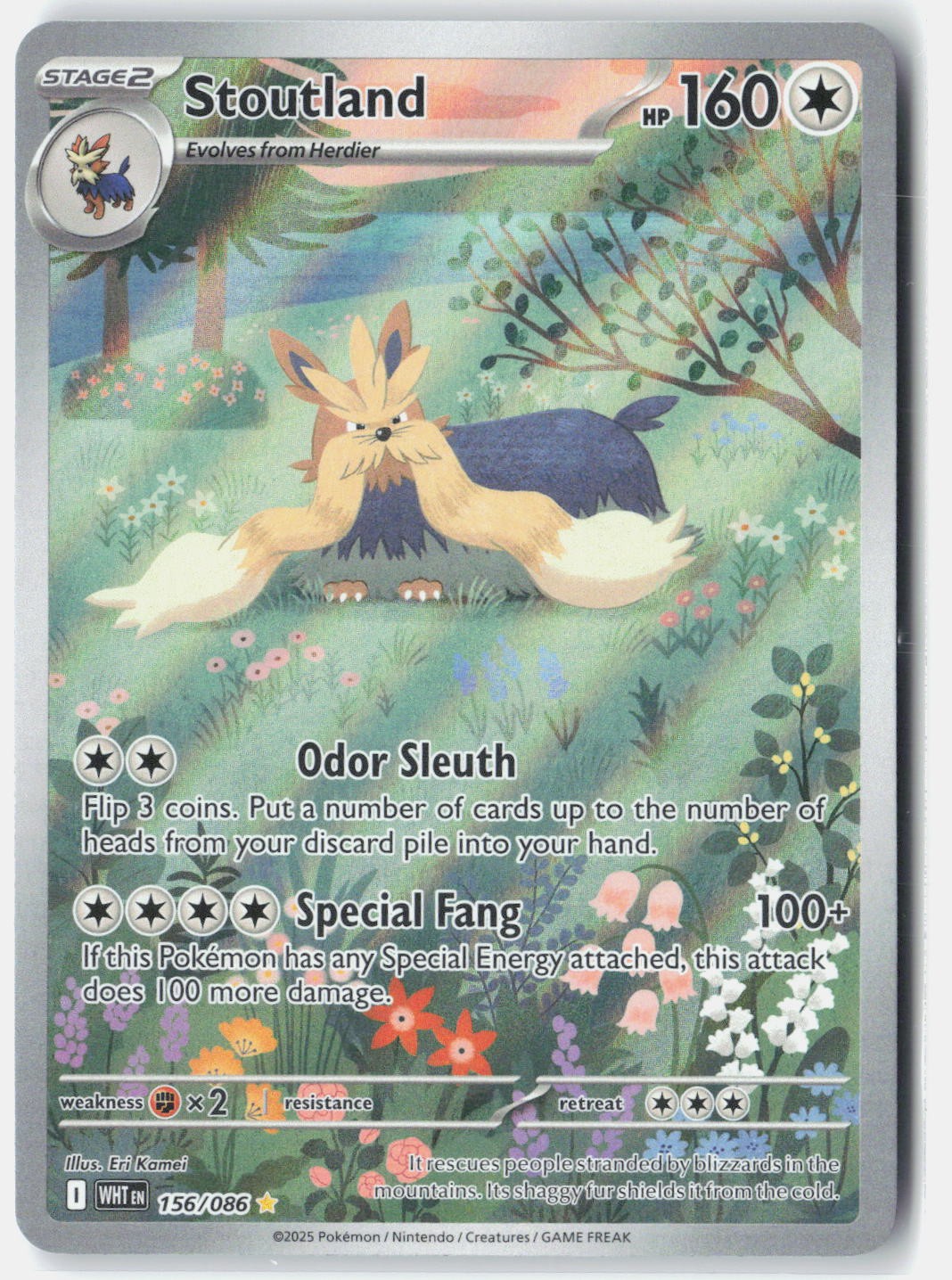 Stoutland SV: White Flare 156/086 Pokemon Card Holo