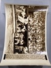 1942 Philadelphia Athletics Bench Hal Wagner Cleveland Indians Press Photo — photo 1