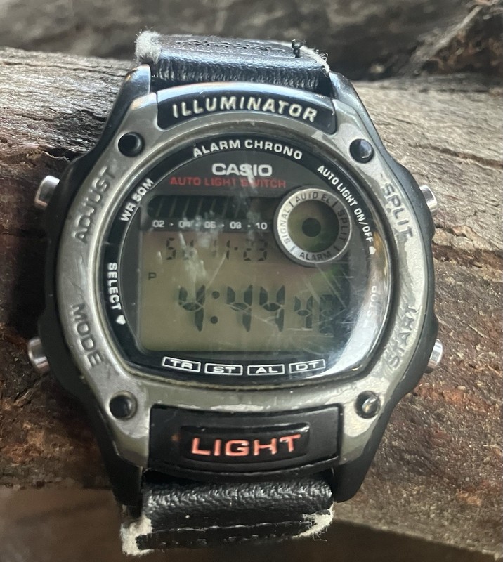 Vintage Men’s Casio W 94h