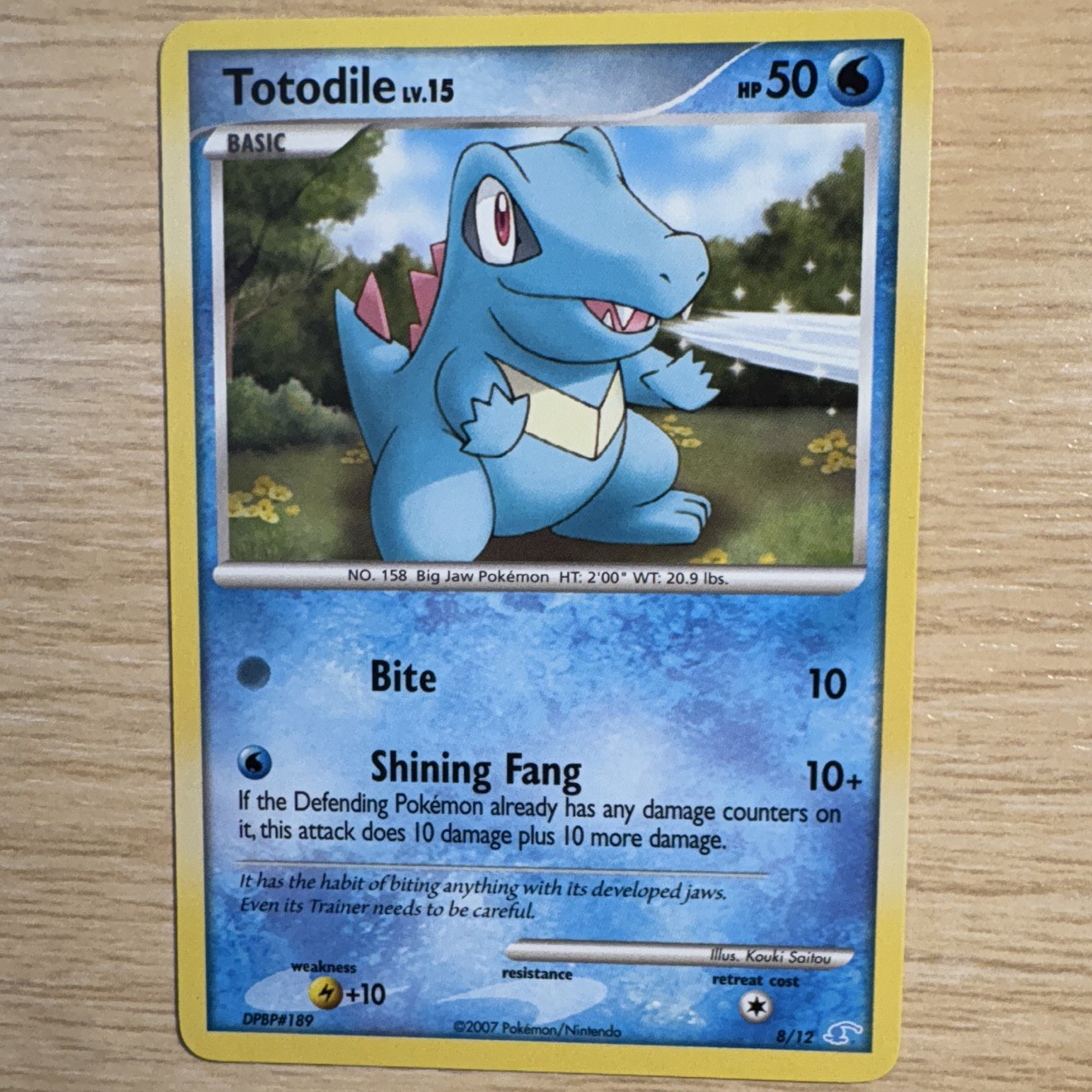Nintendo Totodile 8/12 DP Trainer Kit Manaphy & Lucario Regular Common EN 2007