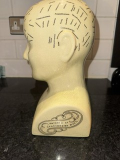 L.N. Fowler: Vintage Phrenology Head (16 cm H).