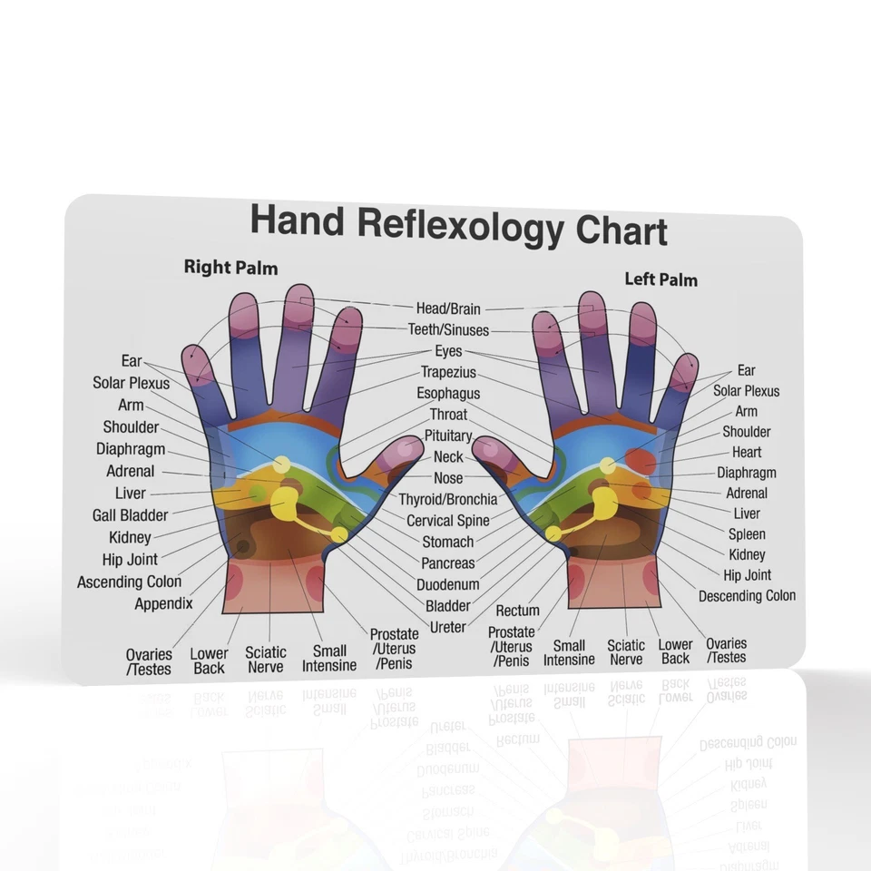 THE PRINT NINJA Hand Reflexology Reference Card Chart Acupressure Acupuncture