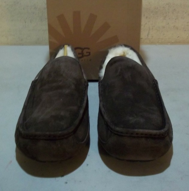 ugg ascot slipper espresso
