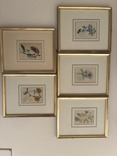 6 Antike botanische Kupferstiche – Maund’s Botanic Garden (1825–1852) Pfl.Tafeln