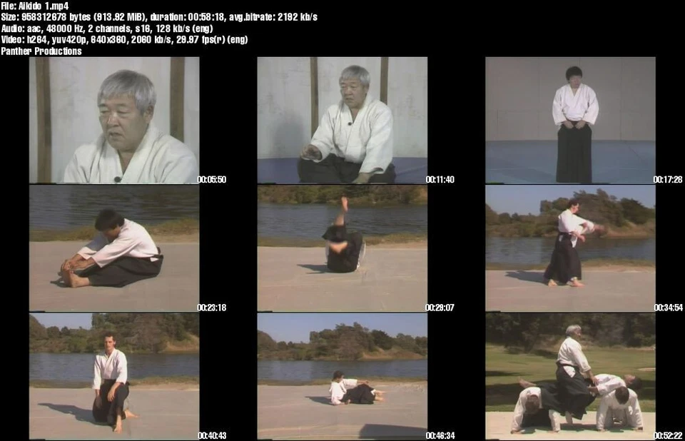 Home Study Course - Traditional Aikido (DVDs + Certificates) - Image 2 of 4