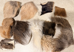LOT OF FLY TYING FUR, ELK, BEAVER, DEER, GOAT, BIGHORN, MOOSE, RED STAG, AXIS K