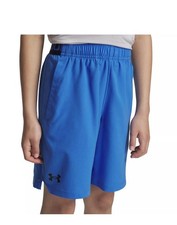 Under Armour Boys' UA Vanish Shorts