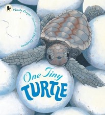 One Tiny Turtle: 1 (Nature Storybooks) by Nicola Davies Book The Cheap Fast Free