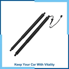 Pack of (2) Rear Lift Gate Struts with Power Liftgate for Chevrolet Equinox