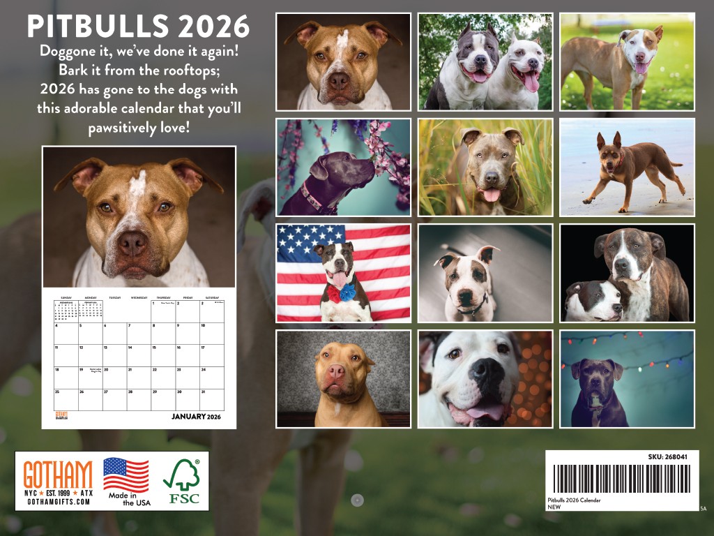 Pitbull Calendar 2026 Pit Bull Monthly Wall Calender 12 Month 12x18