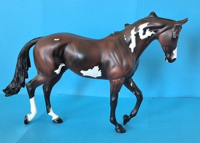 Peter Stone 2002 Bay Paint Thoroughbred NITE SPOT