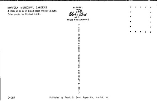 Norfolk VA Azalea Municipal Gardens Walking Paths Benches Virginia postcard NQ9 - Picture 2 of 2