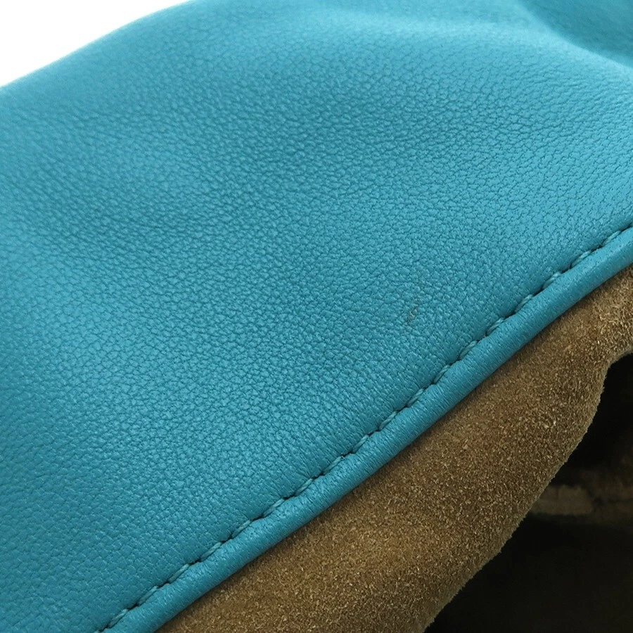 Borsa a tracolla LOEWE BORSA FLAMENCO media in pelle di melone palam borsa a mano autentica